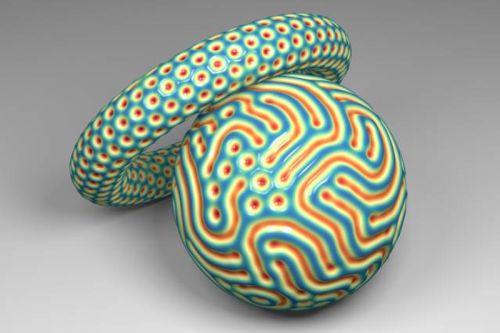  Ερευνητές του MIT ανέπτυξαν μια μαθηματική εξίσωση που προβλέπει πως διαμορφώνονται τα μοτίβα στην επιφάνεια καμπυλωμένων αντικειμένων.  Credit: Norbert Stoop