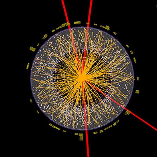 Ένα σωμάτιο Higgs διασπάται σε τέσσερα μιόνια (οι τέσσερις κόκκινες γραμμές). Σύμφωνα με το μοντέλο του Christoffer Petersson, το σωμάτιο Higgs μπορεί επίσης να διασπαστεί σε ένα φωτόνιο και σωμάτια σκοτεινής ύλης. Picture: CERN